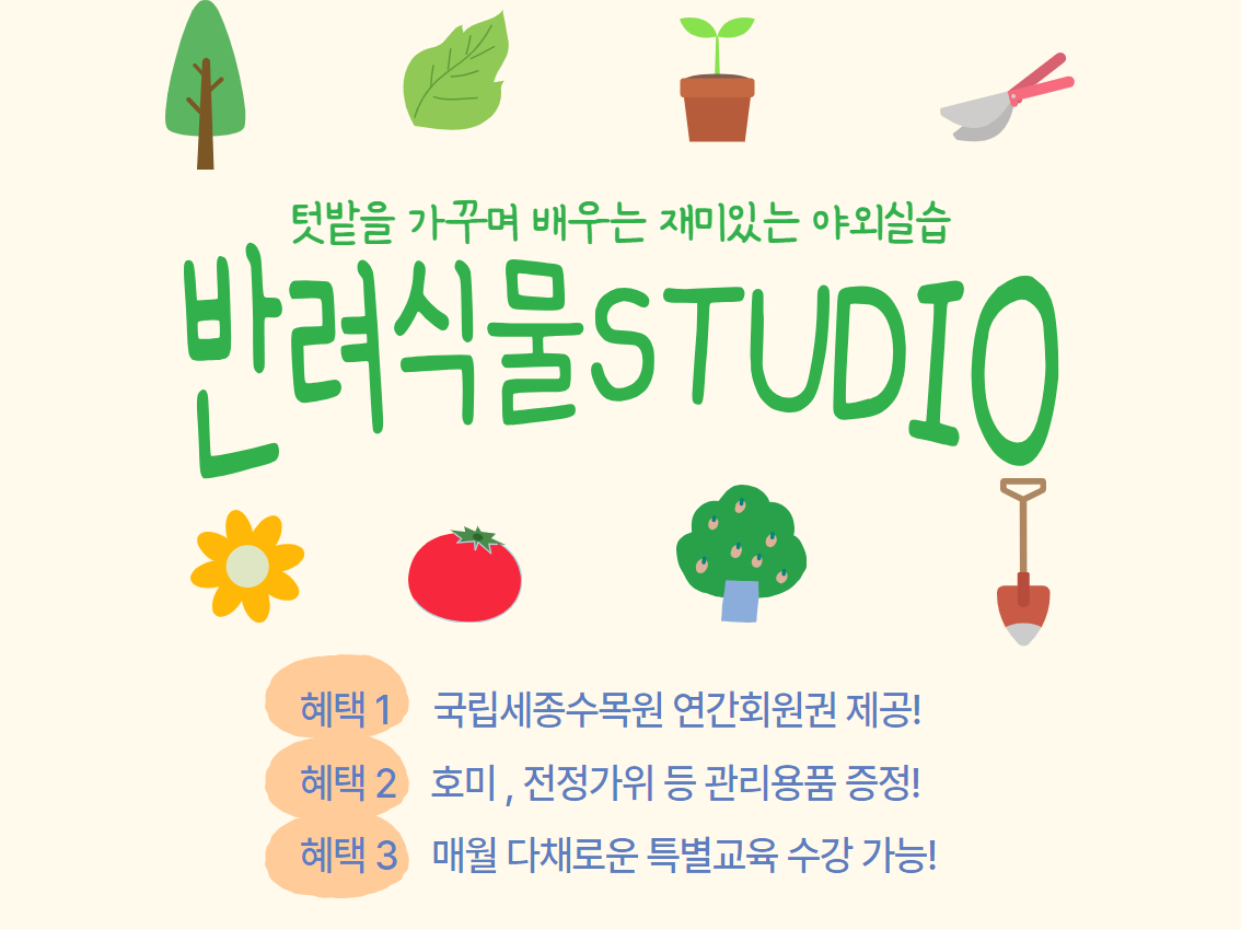 반스교육창