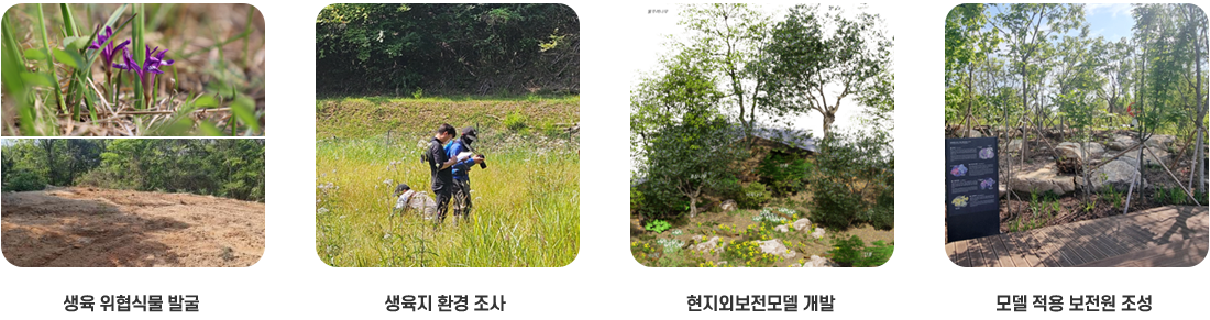 상생 및 동반성장 지원제도 : 전국 수목원 상생협력, 지역 임농가 상생협력, K-테스트베드 운영, 협력&middot;거래업체 동반성장, 창업&middot;벤처기업 지원