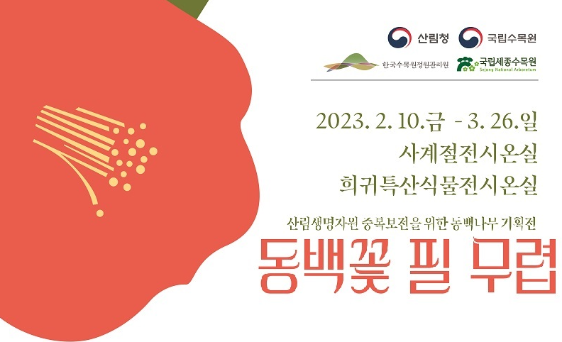 동백.png