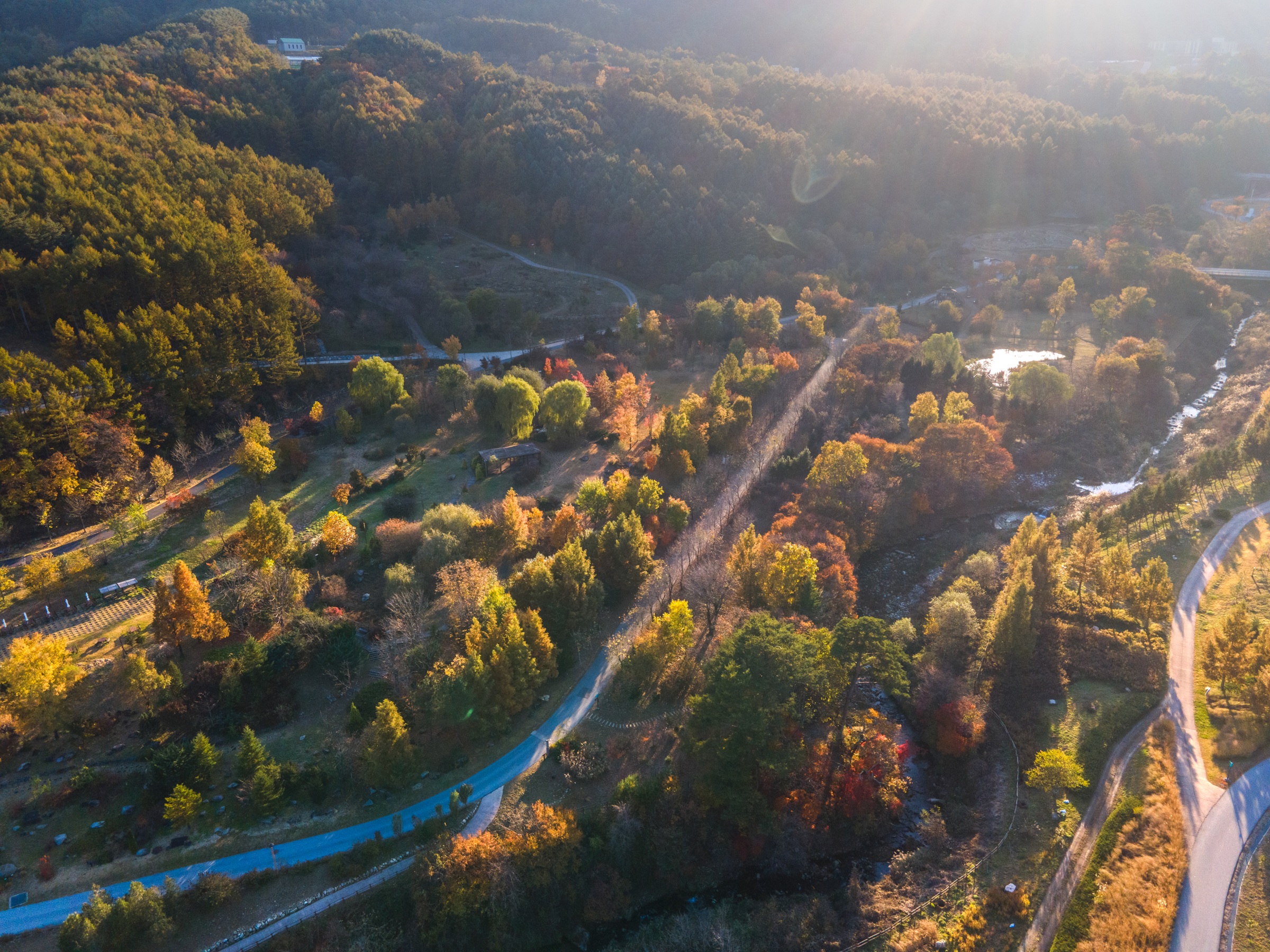 DJI_0993-2.jpg